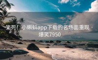 笑死！小蝌蚪app下载的名场面重现 · 爆笑7950