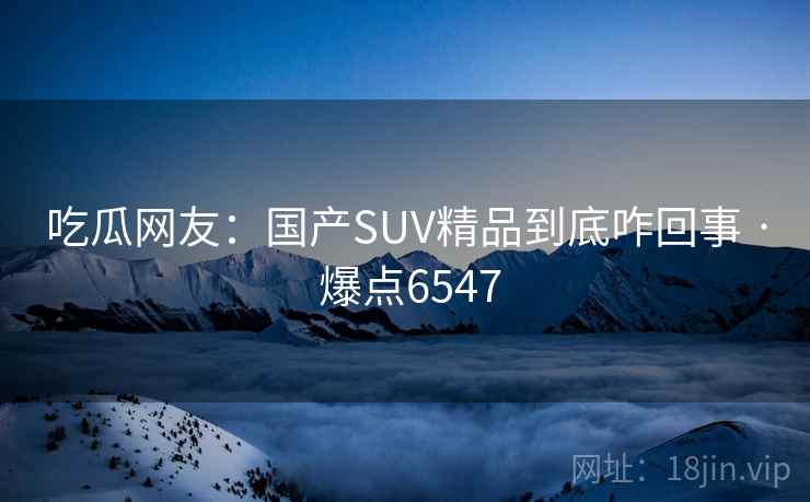 吃瓜网友：国产SUV精品到底咋回事 · 爆点6547