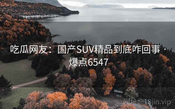 吃瓜网友：国产SUV精品到底咋回事 · 爆点6547