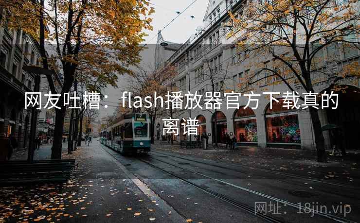 网友吐槽：flash播放器官方下载真的离谱