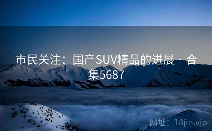 市民关注：国产SUV精品的进展 · 合集5687